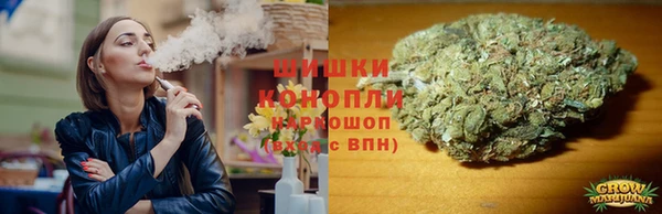 гашик Гусев