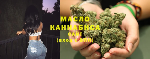 гидропоника Гусиноозёрск