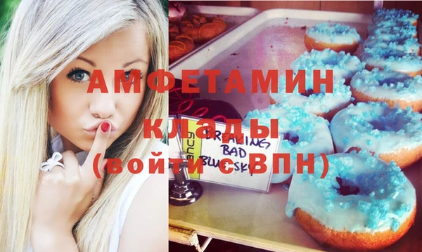 гидропоника Гусиноозёрск