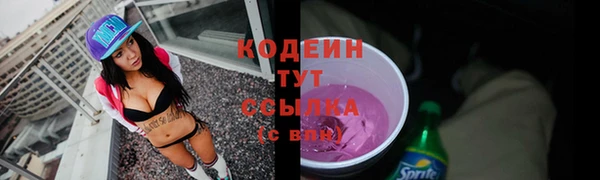гашик Гусев