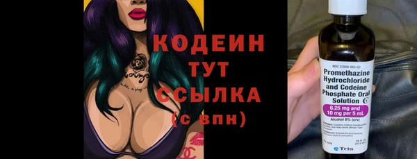 гашик Гусев