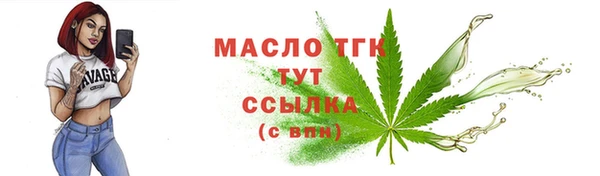 гашик Гусев