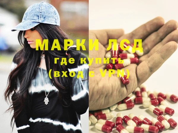 гидропоника Гусиноозёрск