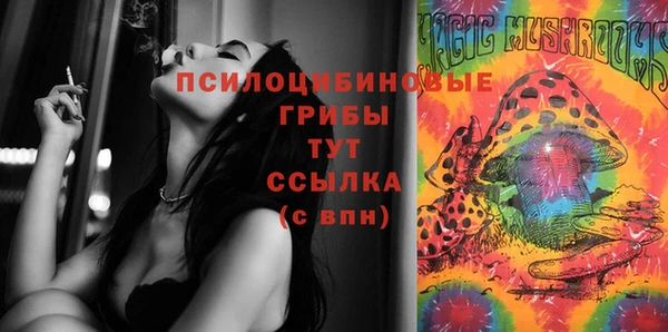 гидропоника Гусиноозёрск