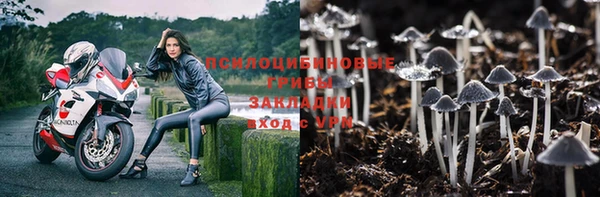 гидропоника Гусиноозёрск
