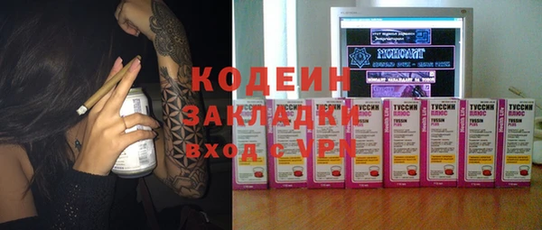 гашик Гусев