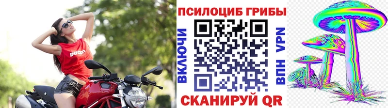 Галлюциногенные грибы мицелий  Купить  Юрьевец 